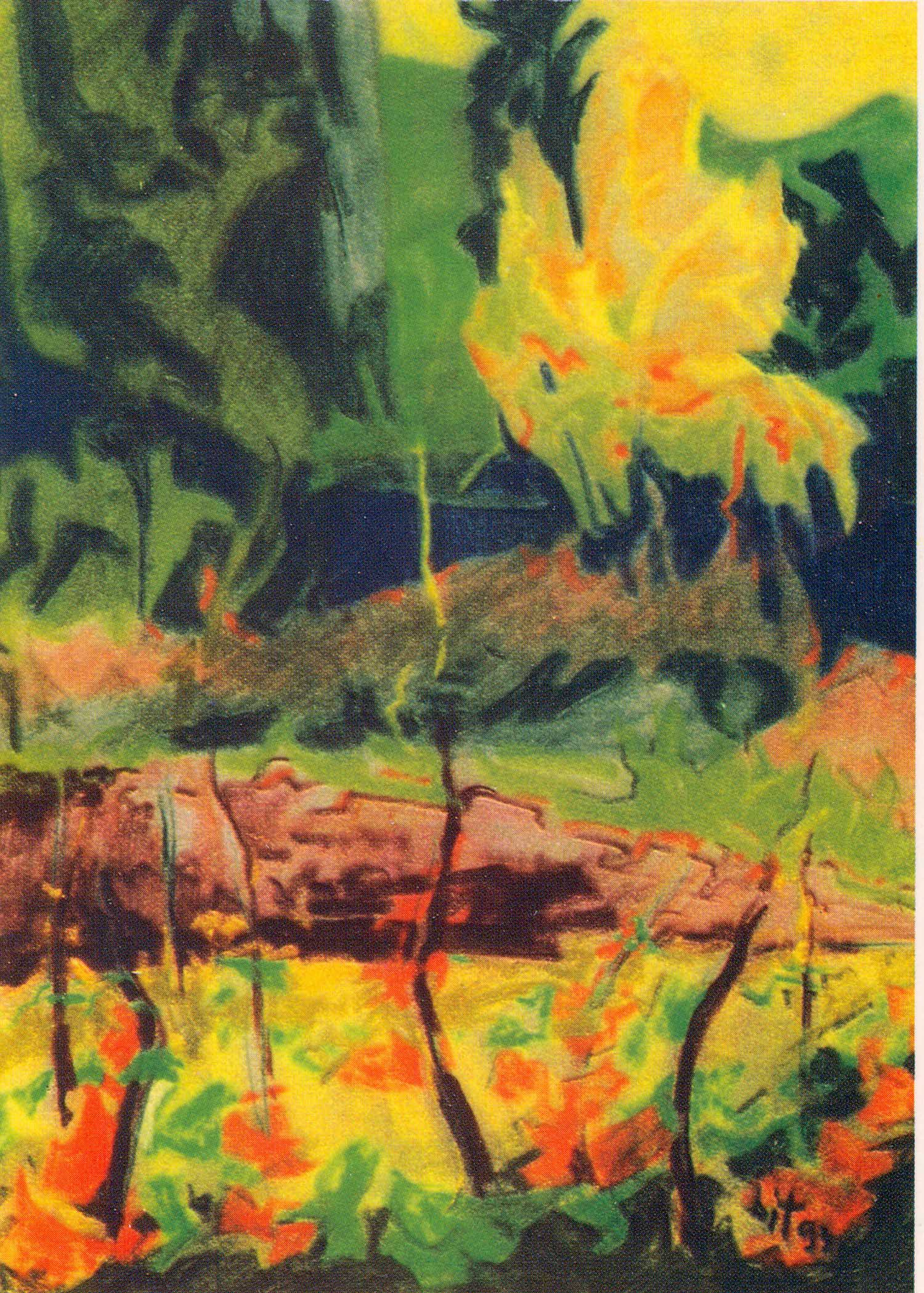 8. TM Bilosnić Očev vinograd